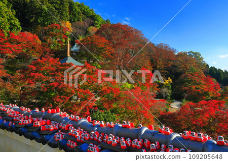 [Osaka Prefecture] Tahoto Pagoda and autumn leaves at Katsuoji Temple on a clear day 109205648