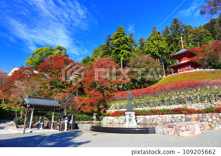 [Osaka Prefecture] Tahoto Pagoda and autumn leaves at Katsuoji Temple on a clear day 109205662
