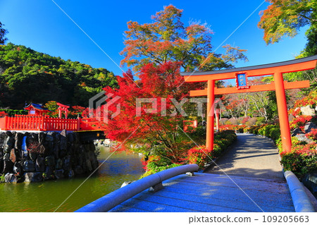 [大阪府] 晴天勝尾寺的便天堂與紅葉 109205663