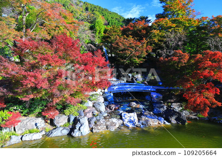 [Osaka Prefecture] Katsuoji waterfall and autumn leaves on a clear day 109205664
