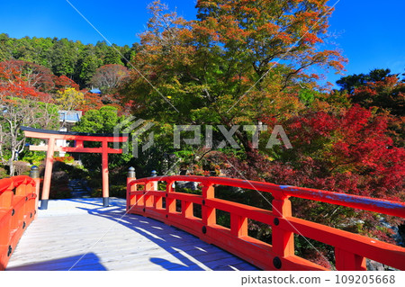 [Osaka Prefecture] Bentendo and autumn leaves at Katsuoji Temple on a clear day 109205668