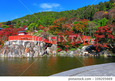 [Osaka Prefecture] Bentendo and autumn leaves at Katsuoji Temple on a clear day 109205669