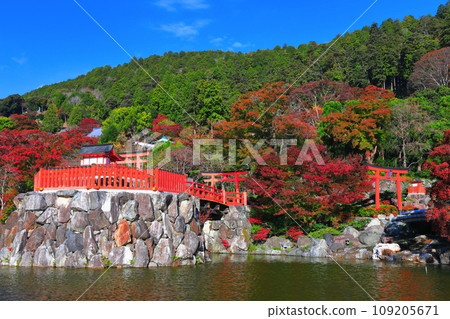 [Osaka Prefecture] Bentendo and autumn leaves at Katsuoji Temple on a clear day 109205671