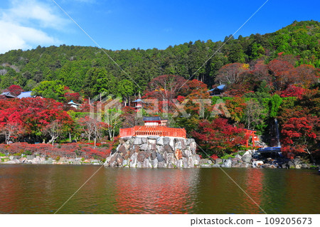 [Osaka Prefecture] Bentendo and autumn leaves at Katsuoji Temple on a clear day 109205673