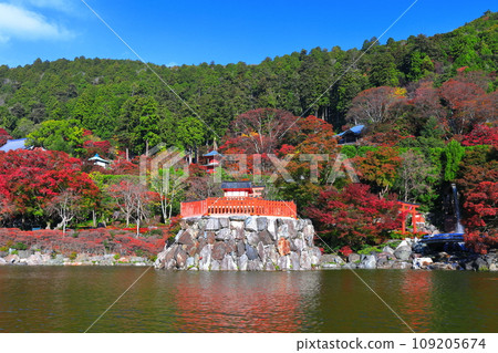 [大阪府] 晴天勝尾寺的便天堂與紅葉 109205674