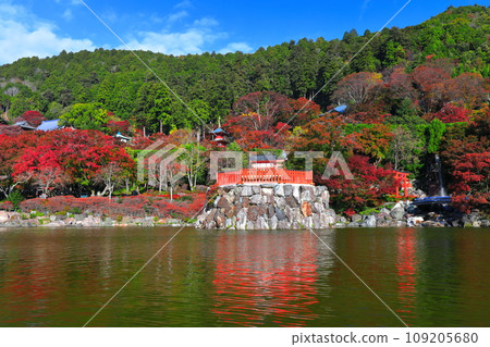 [大阪府] 晴天勝尾寺的便天堂與紅葉 109205680