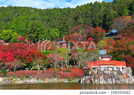 [大阪府] 晴天勝尾寺的便天堂與紅葉 109205681