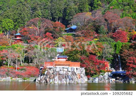 [Osaka Prefecture] Bentendo and autumn leaves at Katsuoji Temple on a clear day 109205682