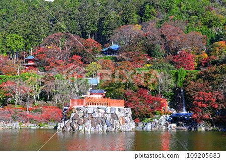 [Osaka Prefecture] Bentendo and autumn leaves at Katsuoji Temple on a clear day 109205683