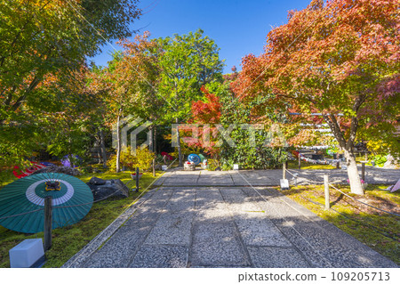 Kyoto in autumn, Bishamondo Shorinji Temple, beautiful autumn leaves on the grounds 109205713