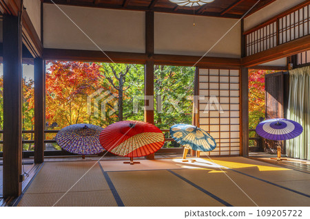 Garden seen from the main hall of Bishamondo Shorinji Temple in Kyoto in autumn 109205722