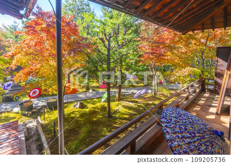 秋天的京都,Bishamondo Shorinji Temple,地面上美麗的秋葉 秋天的京都,Bishamondo Shorinji Temple,地面上美麗的秋葉 109205736