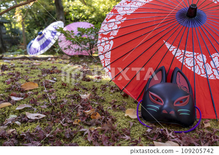 秋天的京都，Bishamondo Shorinji Temple，地面上美麗的秋葉 109205742