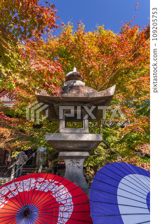 秋天的京都,Bishamondo Shorinji Temple,地面上美麗的秋葉 秋天的京都,Bishamondo Shorinji Temple,地面上美麗的秋葉 109205753