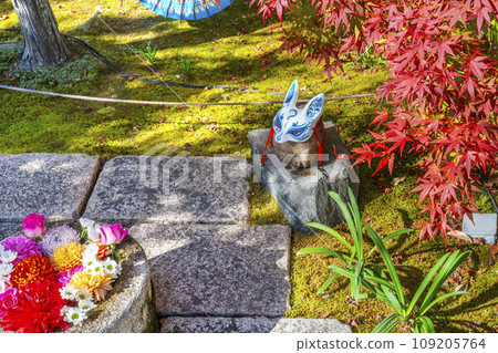 秋天的京都，Bishamondo Shorinji Temple，地面上美麗的秋葉 109205764
