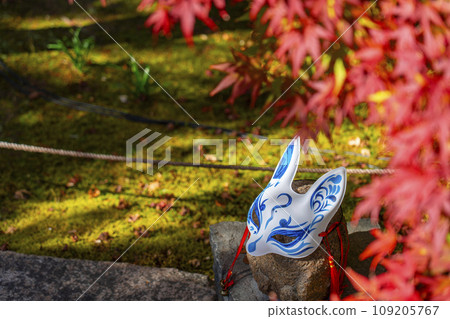 秋天的京都，Bishamondo Shorinji Temple，地面上美麗的秋葉 109205767