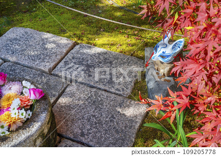 秋天的京都,Bishamondo Shorinji Temple,地面上美麗的秋葉 秋天的京都,Bishamondo Shorinji Temple,地面上美麗的秋葉 109205778