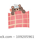 Bear 109205961