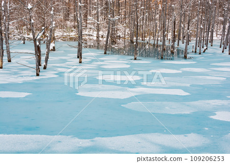 Biei Town, a blue pond where the surface of the lake has begun to freeze Biei Town, a blue pond where the surface of the lake has begun to freeze 109206253