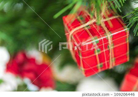 Christmas/winter image 109206446