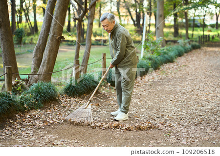A man raking fallen leaves with a rake A man raking fallen leaves with a rake 109206518