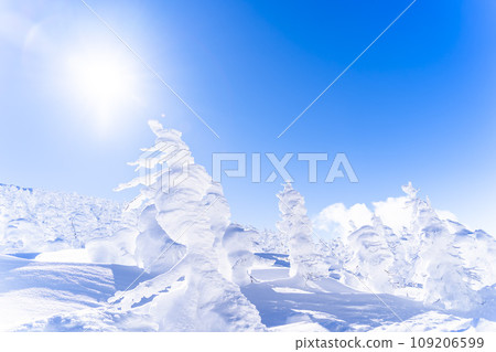 藍天與藏王霜雪怪 山形縣山形市 藍天與藏王霜雪怪 山形縣山形市 109206599