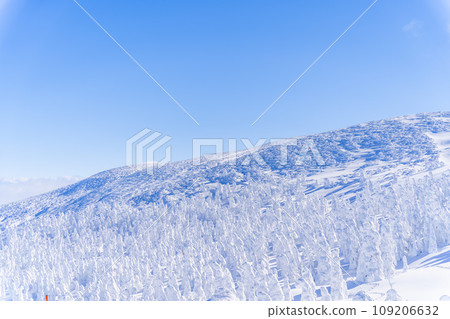 藍天與藏王霜雪怪 山形縣山形市 109206632