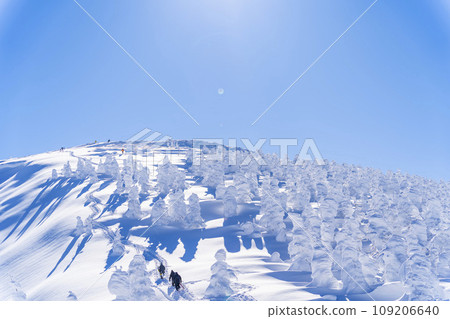 藍天與藏王霜雪怪 山形縣山形市 藍天與藏王霜雪怪 山形縣山形市 109206640