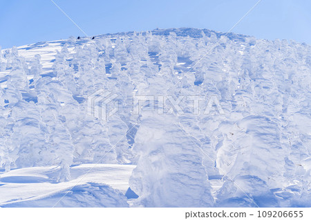 藍天與藏王霜雪怪 山形縣山形市 藍天與藏王霜雪怪 山形縣山形市 109206655