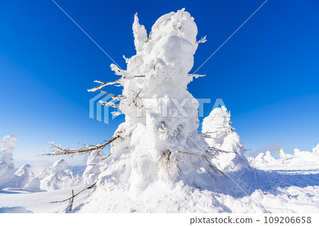 Blue sky and Zao frost-covered snow monster Yamagata City, Yamagata Prefecture 109206658