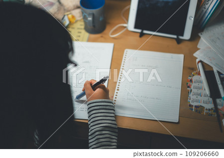 studying, girl, young girl 109206660