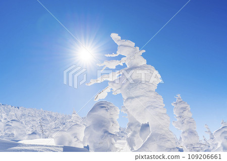 Blue sky and Zao frost-covered snow monster Yamagata City, Yamagata Prefecture Blue sky and Zao frost-covered snow monster Yamagata City, Yamagata Prefecture 109206661