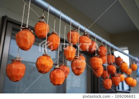 Scenery with dried persimmons Scenery with dried persimmons 109206681