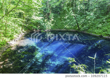 Aoike Pond in Shirakami Mountains, Fukaura Town, Aomori Prefecture Aoike Pond in Shirakami Mountains, Fukaura Town, Aomori Prefecture 109207115