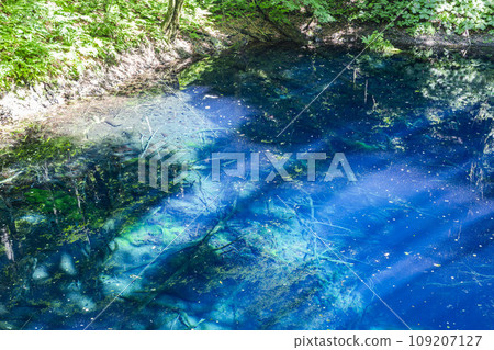 Aoike Pond in Shirakami Mountains, Fukaura Town, Aomori Prefecture Aoike Pond in Shirakami Mountains, Fukaura Town, Aomori Prefecture 109207127
