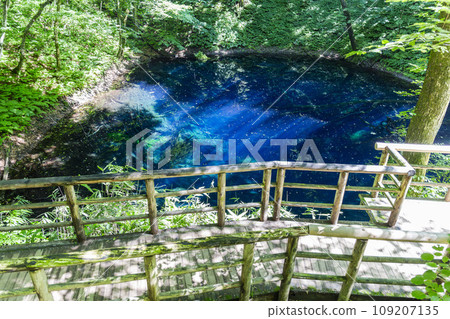 青森縣深浦町白神山的青池 109207135