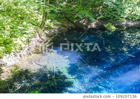 Aoike Pond in Shirakami Mountains, Fukaura Town, Aomori Prefecture 109207136