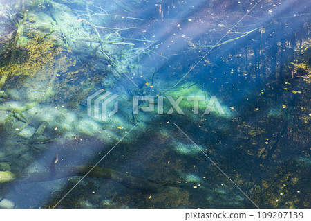 青森縣深浦町白神山的青池 109207139