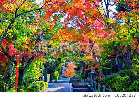 Awada Shrine 109207258