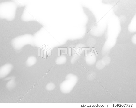 Shadow Background Effect Mockup Black Frame Leaves Wall Light White Overlay Plant Abstract Backdrop Sunlight Sun Mockup Minimal Summer Tropic Tree Floor 3d Bg Nature Room Grey Exterior Surface Frame. 109207758