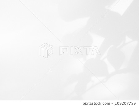 Shadow Background Effect Mockup Black Frame Leaves Wall Light White Overlay Plant Abstract Backdrop Sunlight Sun Mockup Minimal Summer Tropic Tree Floor 3d Bg Nature Room Grey Exterior Surface Frame. 109207759