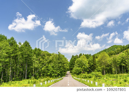 Early summer Bandai Azuma Lake Line, blue sky and straight road, Inawashiro Town, Fukushima Prefecture 109207801