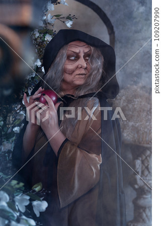 Stepmother witch gives poisoned red apple.Woman as witch in black offers red apple as symbol of temptation, poison. Fairy tale, white snow wizard concept. Spooky Halloween, cosplay. 109207990