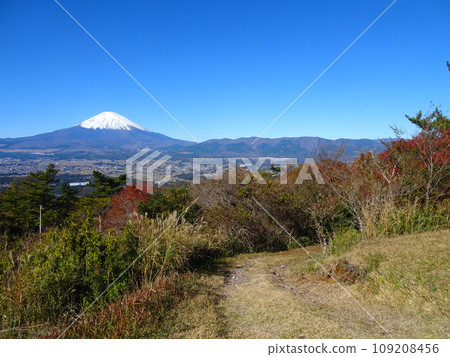 Mt. Fuji seen from Ashigara Castle ruins (Oyama Town, Sunto District, Shizuoka Prefecture) Photographed in November 2023 109208456