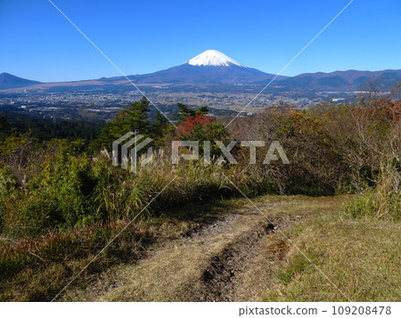 Mt. Fuji seen from Ashigara Castle ruins (Oyama Town, Sunto District, Shizuoka Prefecture) Photographed in November 2023 109208478