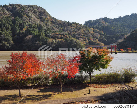 Kameyama Lakeside Park (Oshikome District) 109208817