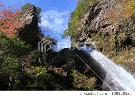 Oara Falls - Mighty flowing water (Kami City, Kochi Prefecture) 109208823