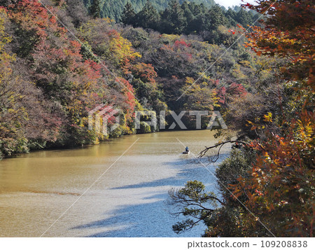 Kameyama Lake (Kimitsu City) 109208838