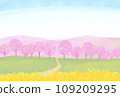 Illustration of a landscape with rape blossom field and cherry blossoms 109209295