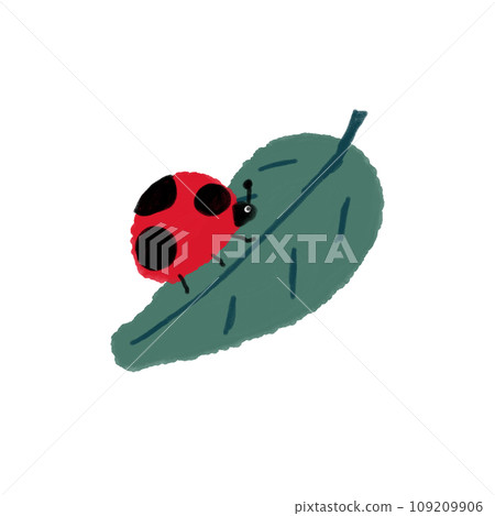 Illustration material of ladybug and leaf 109209906